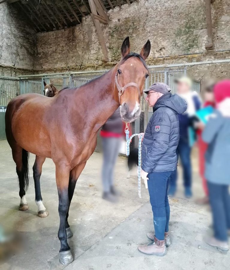 COMMENT LA KINÉSIOLOGIE PEUT CONTRIBUER À RÉSOUDRE LES DIFFICULTÉS STRUCTURELLES ET ÉMOTIONNELLES DANS LA RELATION CHEVAL – CAVALIER